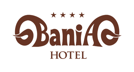 partner-bania
